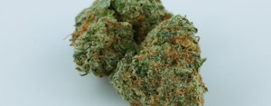 G-13 Marijuana Strain