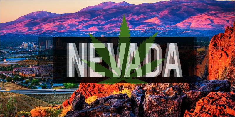 green scene nevada hero Colorado: Recreational Weed Shops are Going to Edge Out Medical