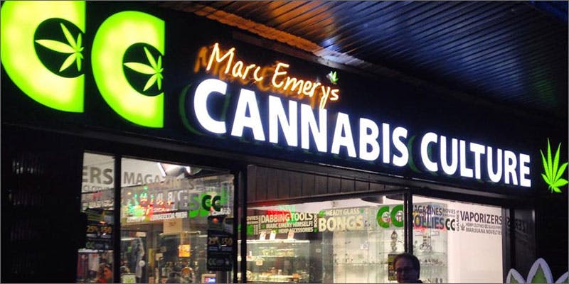 cannabis culture dispensary raid