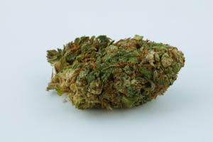 UK Cheese Marijuana Strain