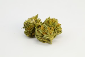 Shipwreck Marijuana Strain