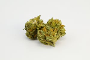 Shipwreck Marijuana Strain