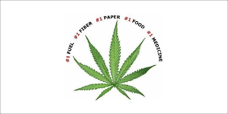 2 colorado creates first domestic hemp seed leaf Why is the New Domestic Hemp Seed so Important?