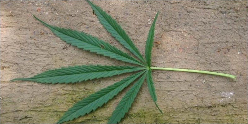 2 mother joins fight texas cannabis reform daughter leaf Cannabis Saved Her Daughter, Now This Mom Is Fighting For Reform