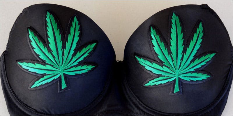 9 stoner chick accessories leaf bra 15 Accessories You Need If Youre A Weed Loving Lady