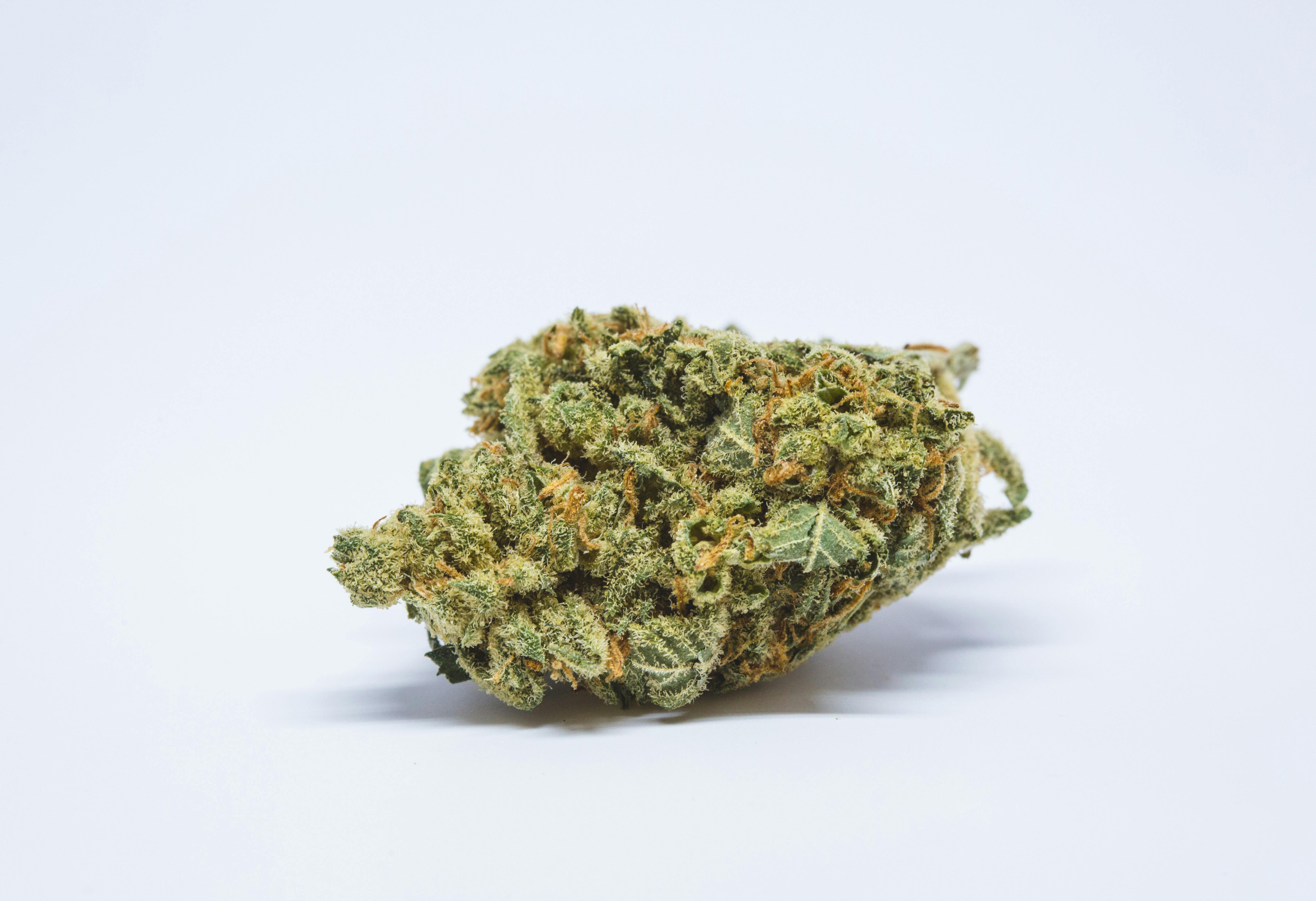 Mr. Nice Weed; Mr. Nice Cannabis Strain; Mr. Nice Hybrid Marijuana Strain