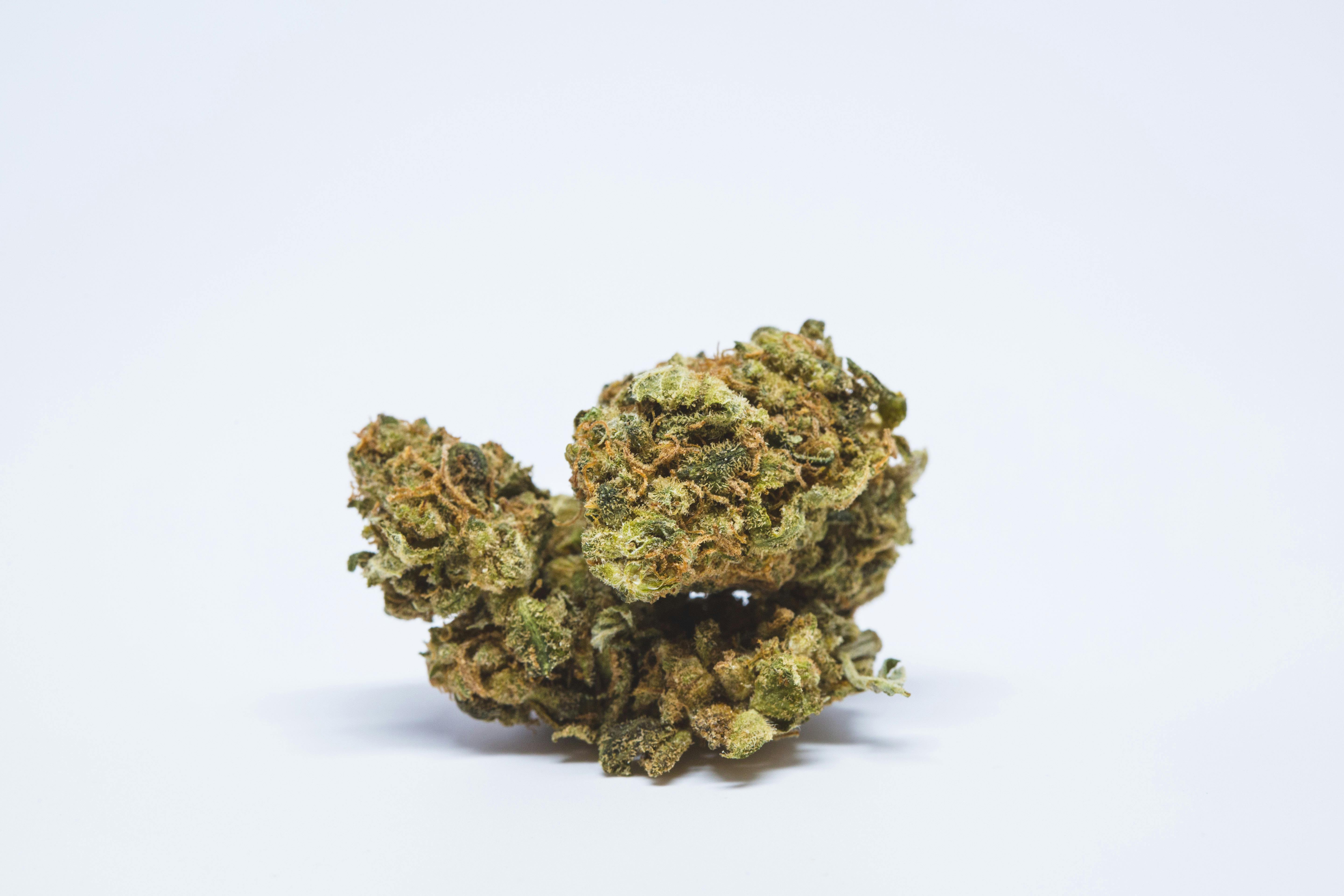 Tangie Weed; Tangie Cannabis Strain; Tangie Sativa Marijuana Strain