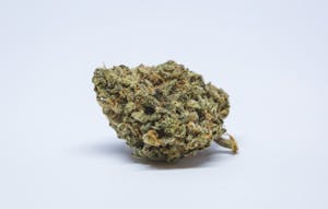 Maui Wowie Marijuana Strain