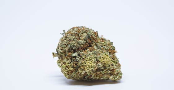 Trainwreck Weed: Trainwreck Cannabis Strain; Trainwreck Hybrid Marijuana