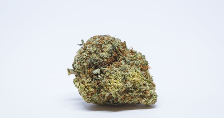 Trainwreck Weed: Trainwreck Cannabis Strain; Trainwreck Hybrid Marijuana