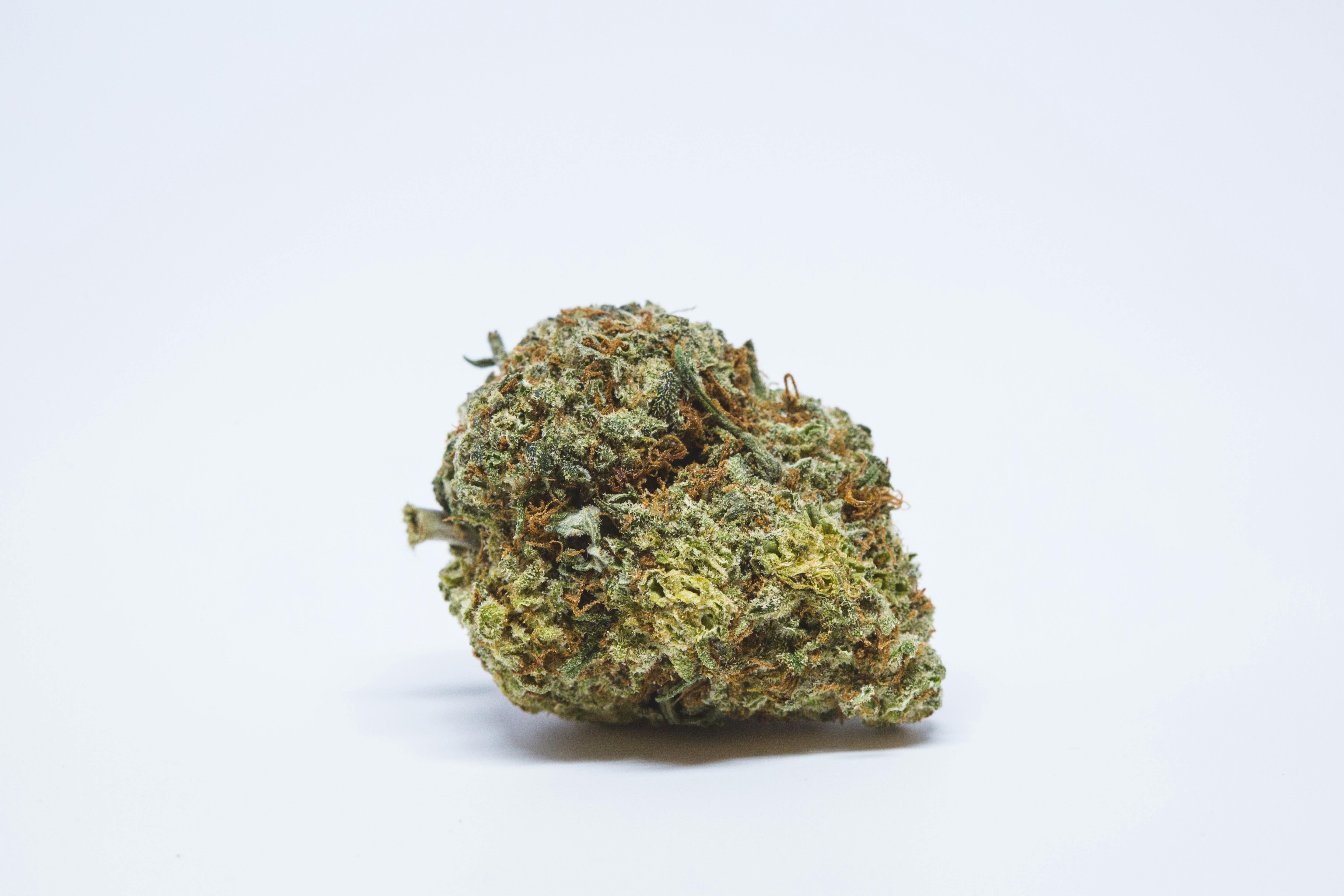 Trainwreck Weed: Trainwreck Cannabis Strain; Trainwreck Hybrid Marijuana