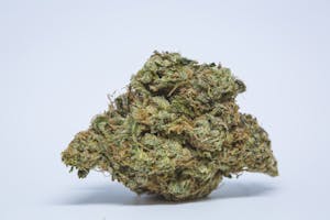 Super Sour Diesel Marijuana Strain