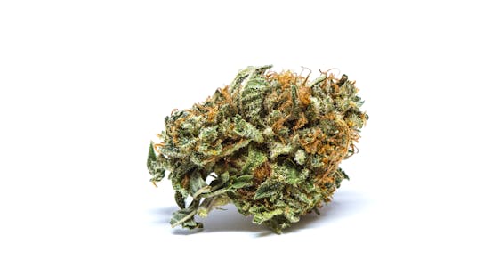 Critical Mass Weed; Critical Mass Cannabis Strain; Critical Mass Indicia Marijuana Strain