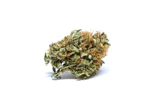 Critical Mass Marijuana Strain