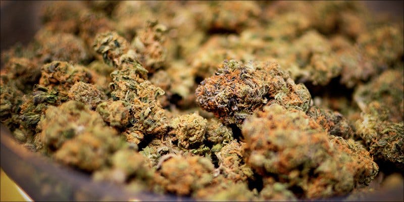 Funded Israeli Research 4 Cannabis Infused Roasted Red Potatoes Will Rock Your Dinner Table