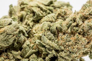 Super Sour Skunk Marijuana Strain