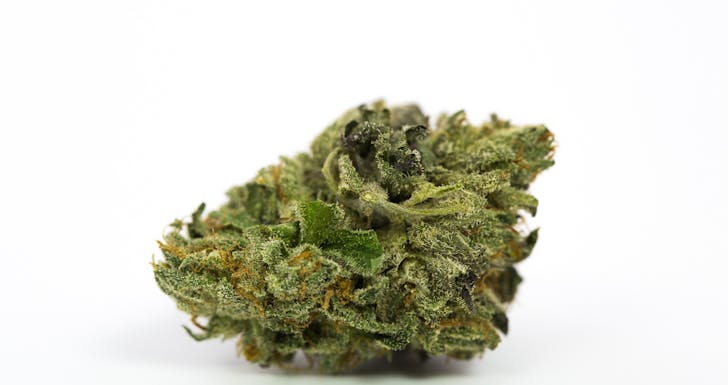 Master Kush Weed; Master Kush Cannabis; Master Kush Indica Marijuana Strain