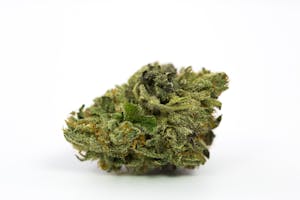 Master Kush Marijuana Strain