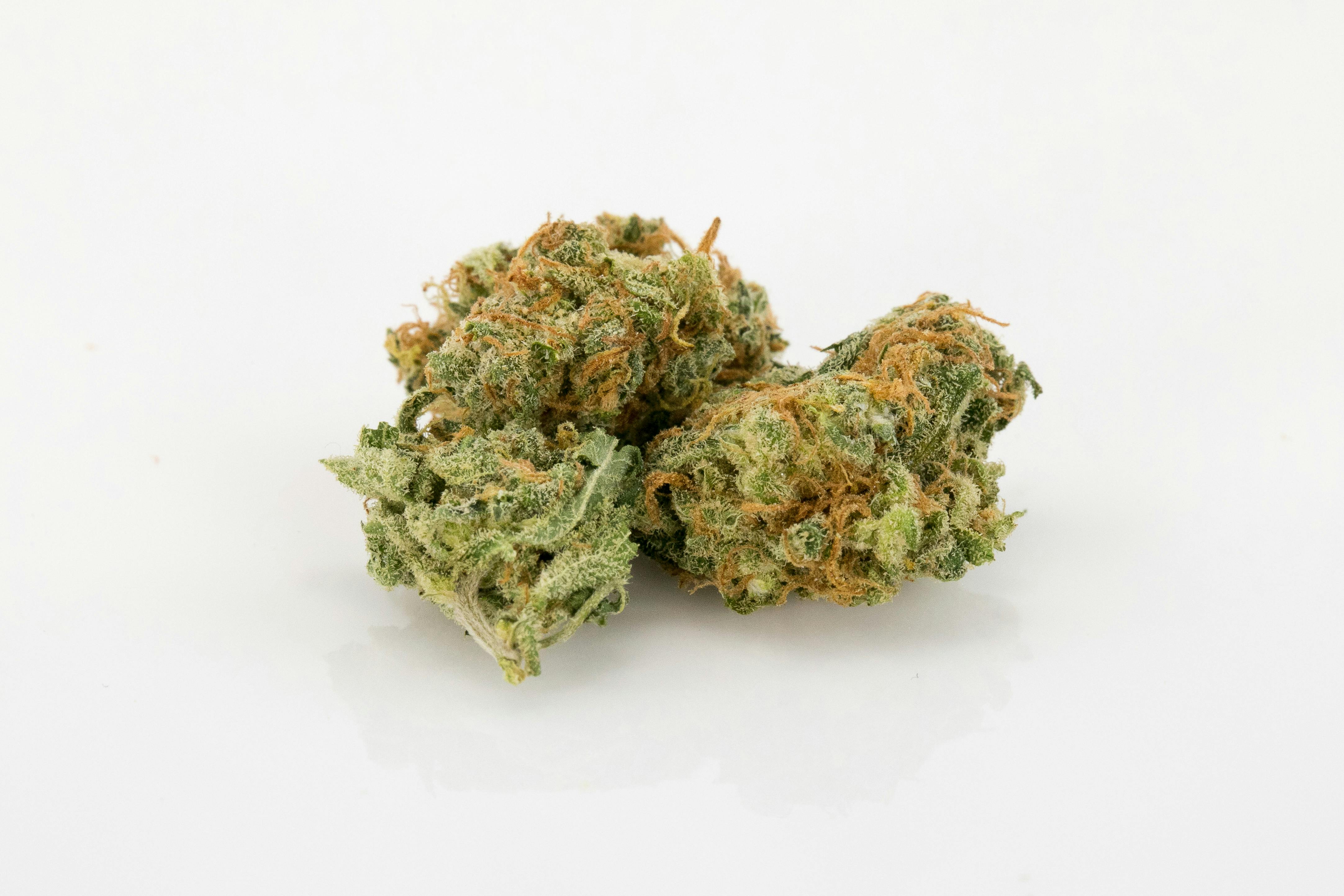 Orange Kush 01 Afghani Marijuana Strain