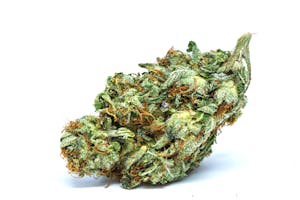 Orange Kush Marijuana Strain