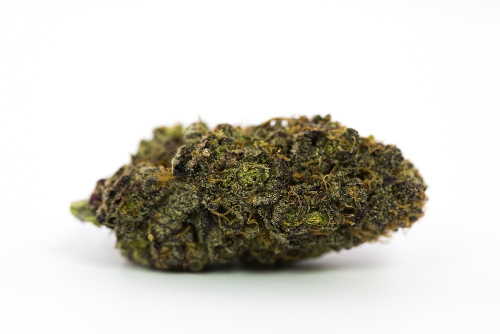 Mendocino Purps Marijuana Strain | Herb