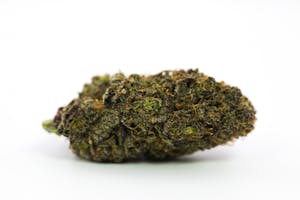 Mendocino Purps Marijuana Strain