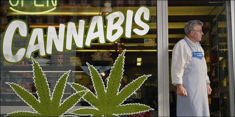Record Breaking Sales 1 Colorado Smashed Cannabis Sales Records In July