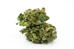 Sensi Star Marijuana Strain