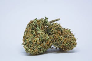 Space Queen Marijuana Strain