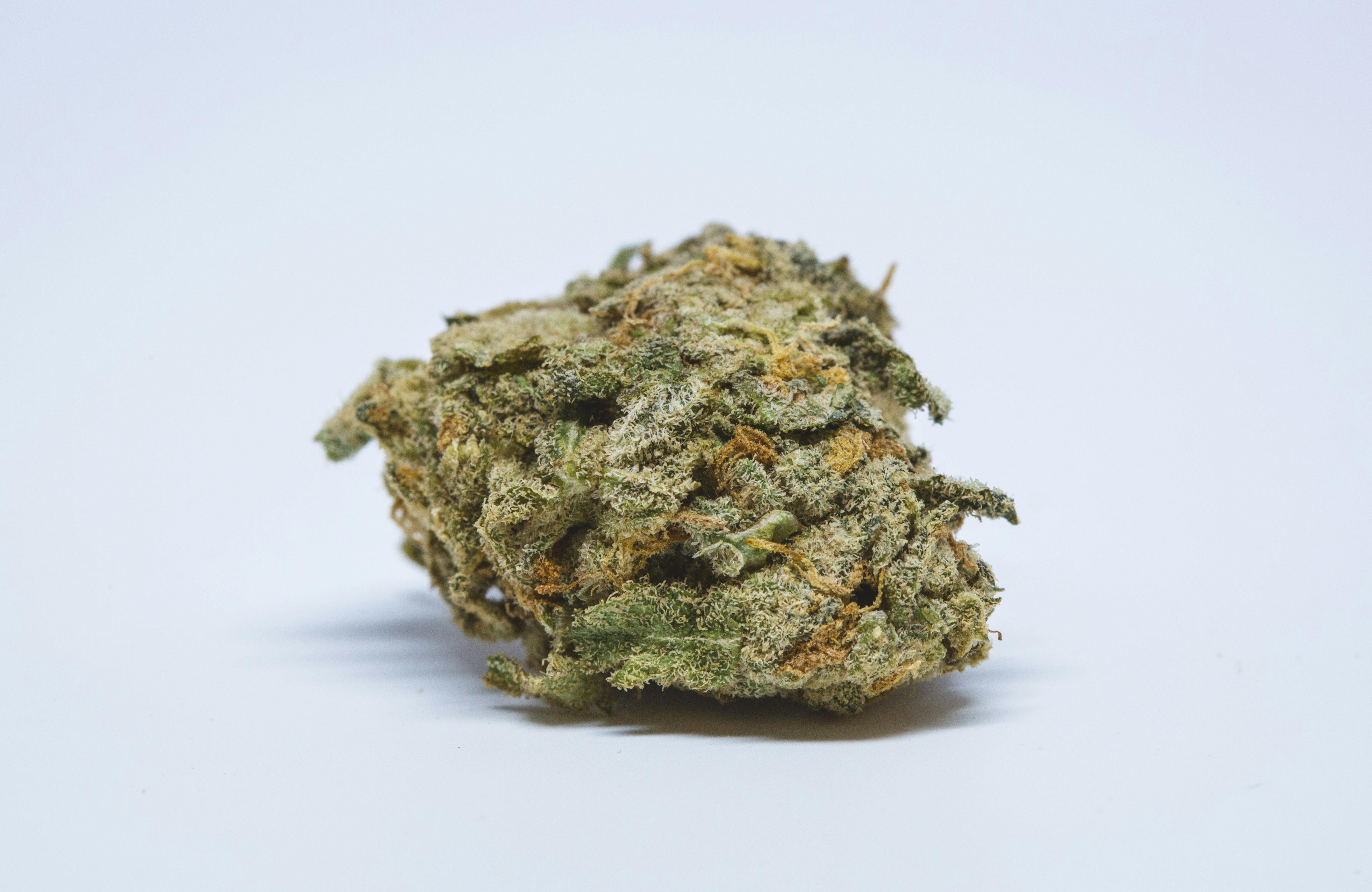 White Widow Weed; White Widow Cannabis Strain; White Widow Hybrid Marijuana Strain