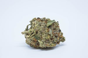 Shiva Skunk Marijuana Strain