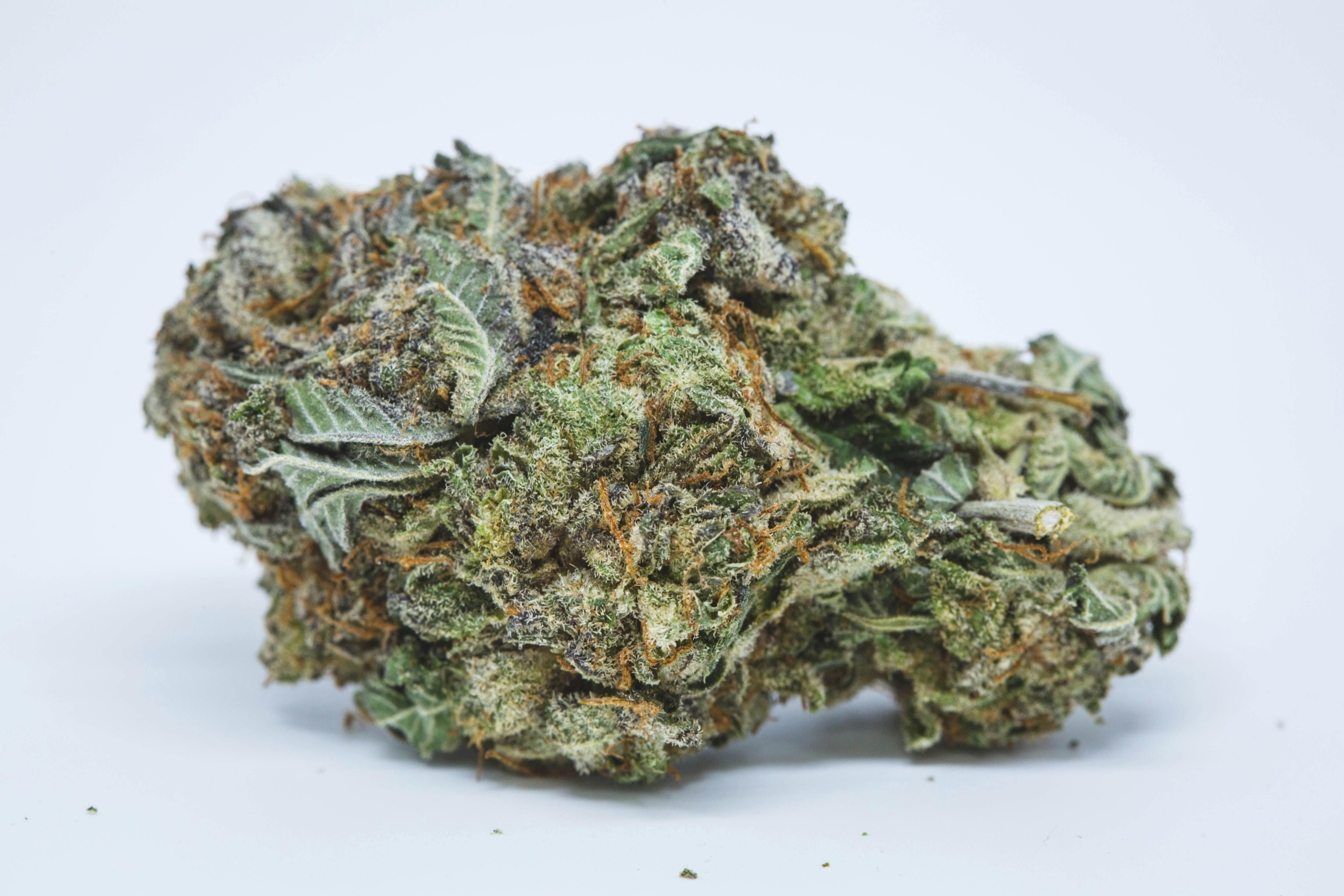 Purple Haze x Thai (von ACE Seeds) :: Cannabis Sorten Infos
