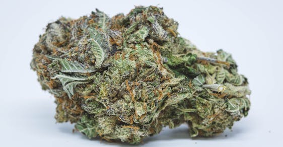 Purple Haze Weed; Purple Haze Cannabis Strain; Purple Haze Sativa Marijuana Strain