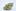 True OG Weed; True OG Cannabis Strain; True OG Indica Marijuana Strain