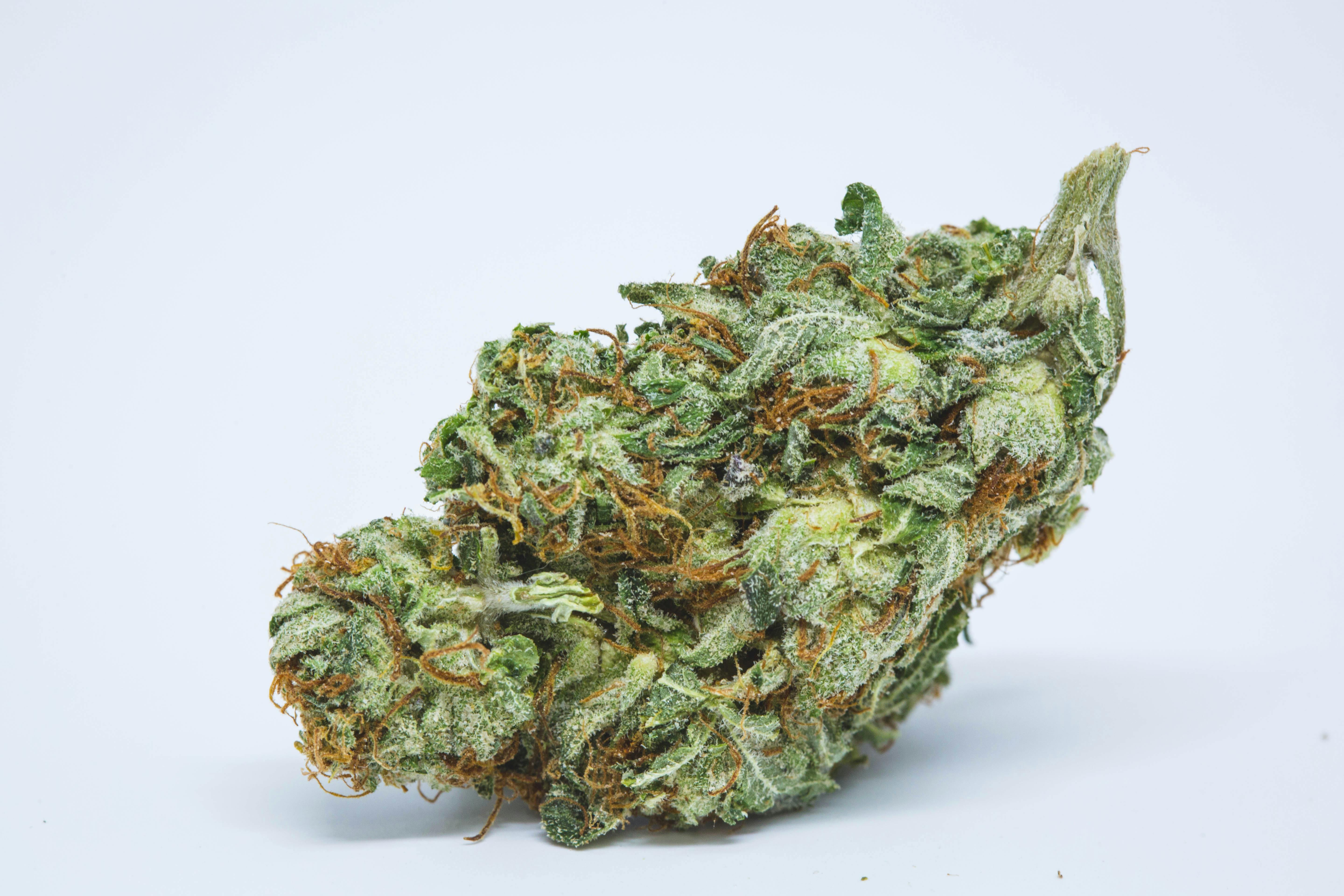 True OG Weed; True OG Cannabis Strain; True OG Indica Marijuana Strain