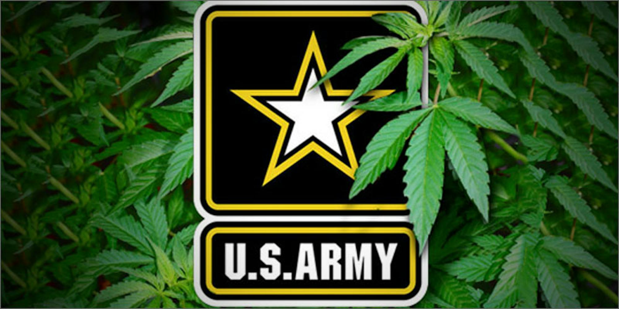 The Army Banned Soldiers In Alaska From Attending Cannabis Events Herb