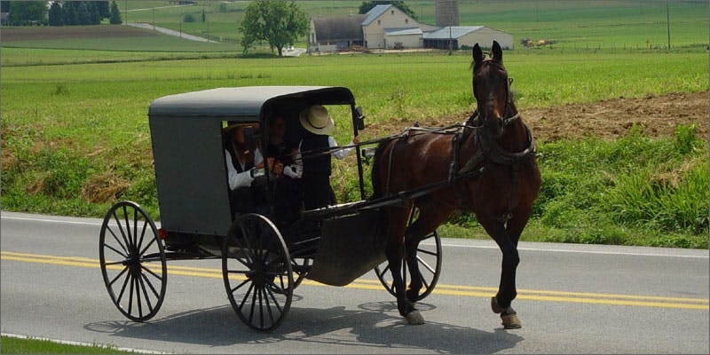 Old Order Mennonite