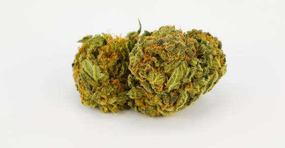 Middlefork Weed; Middlefork Cannabis Strain; Middlefork Hybrid Marijuana Strain