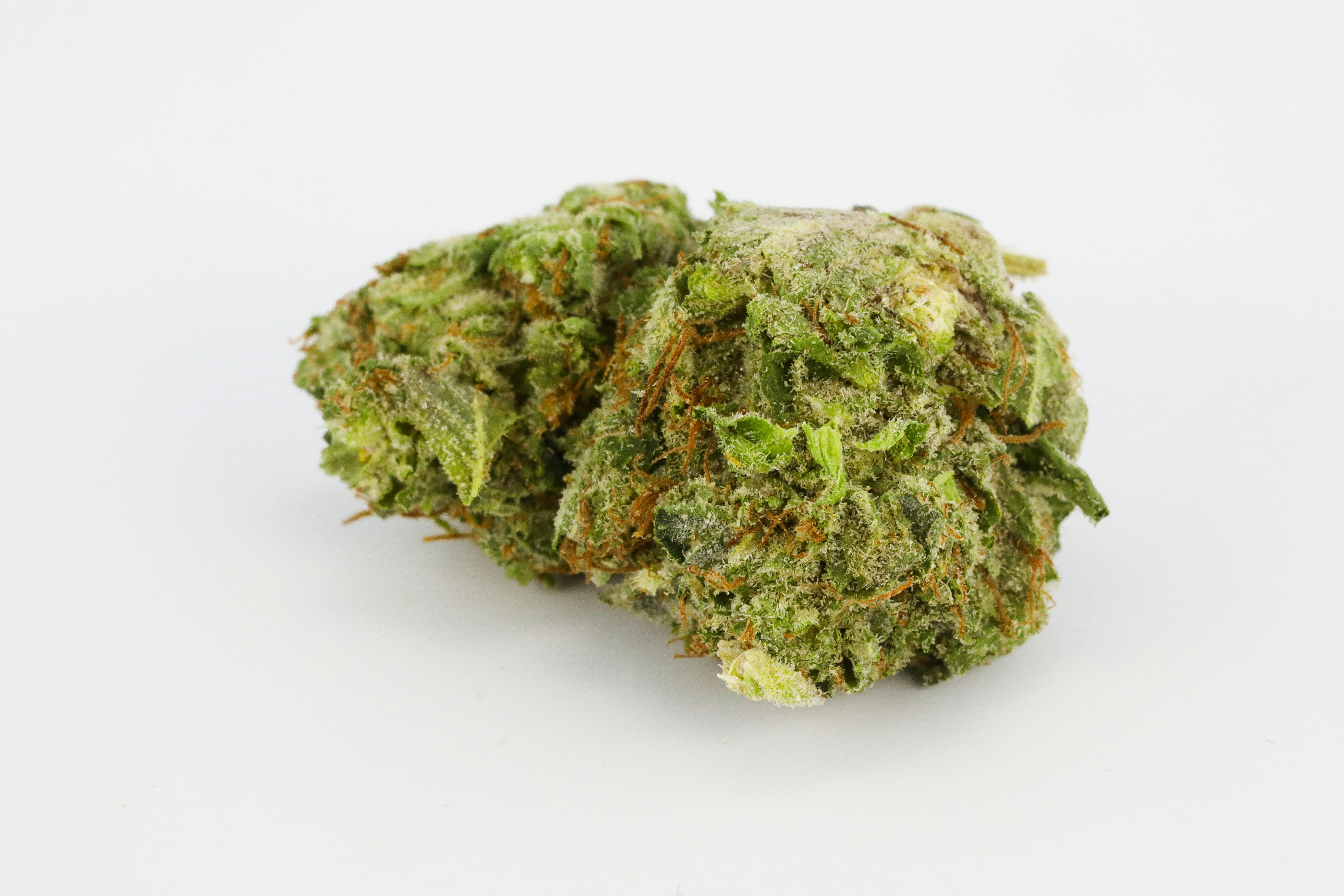0G8A3214 Odmiany Landrace: Everything You Need To Know About Landrace Cannabis Strains