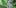 1 texas medical cannabis program threatened license fee Texas: Medical Cannabis Under Threat From Proposed License Fees