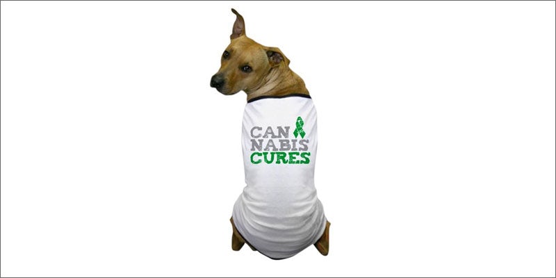 10 cannabis products for pets 11 Cute & Crazy Cannabis Products For Your Pot Loving Pets