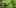 2 what its like smoke high cbd strain plant Whats It Like To Smoke A High CBD, Low THC Strain?