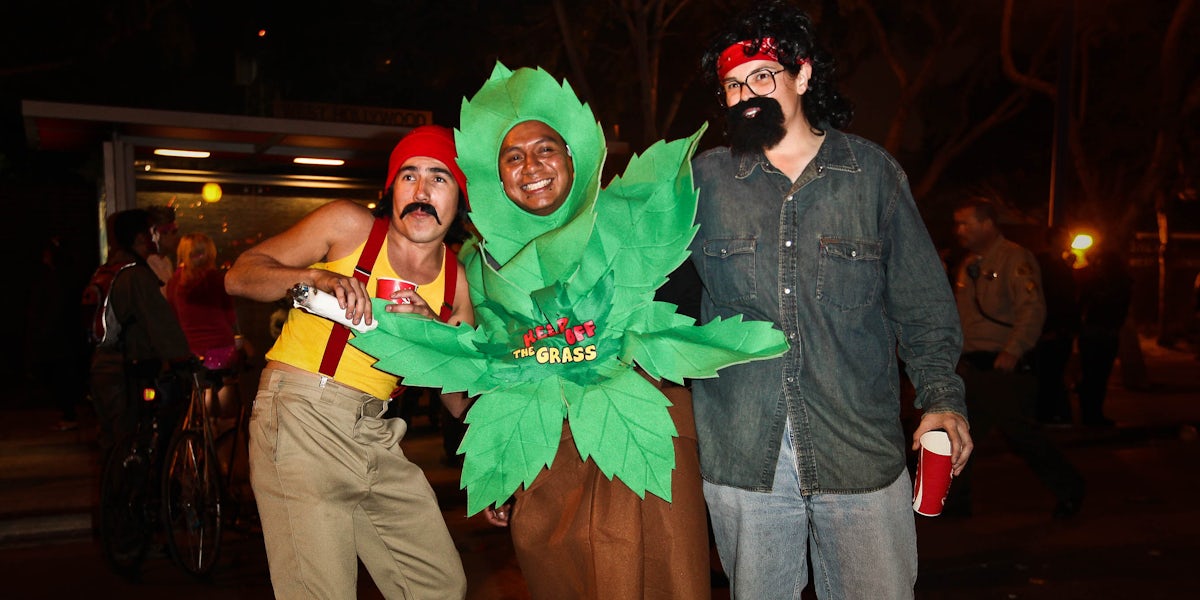 20 Easy And Hilarious Weed Halloween Costume Ideas Herb Herb
