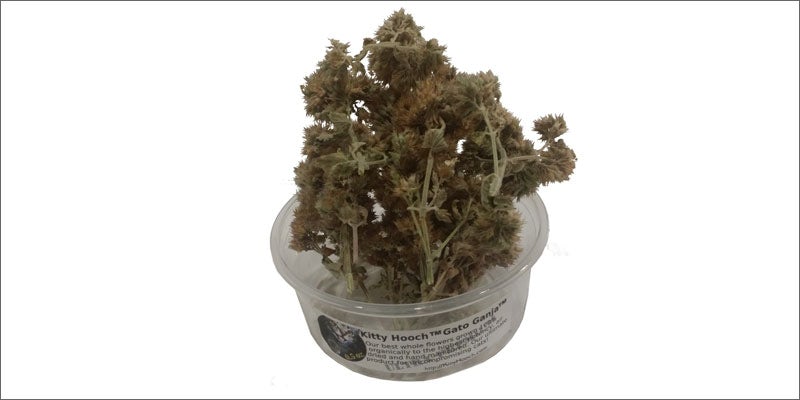 3 cannabis products for pets 11 Cute & Crazy Cannabis Products For Your Pot Loving Pets