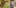 4 1 Christina Bellman: Levo is the Next Evolution in Home Infusion