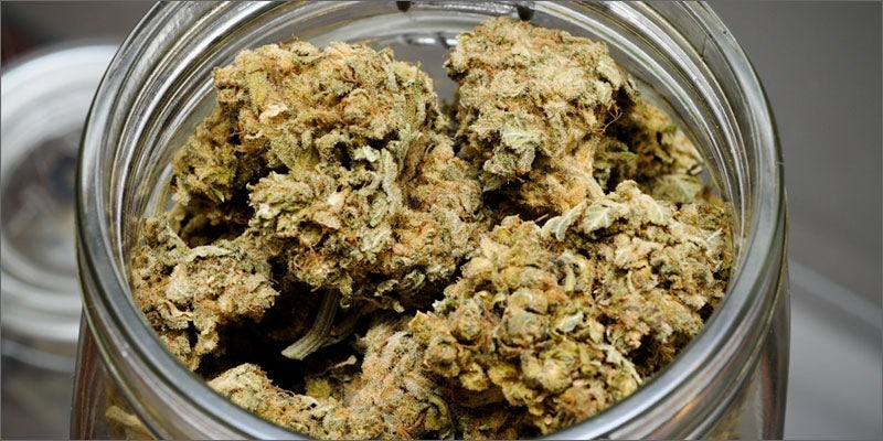 4 medical cannabis mythbusters addiction Does Cannabis Help Ease The Pain Of Fibromyalgia?