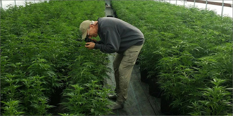 4 reasons to oppose california prop64 North Dakota Approves Medical Cannabis Initiative