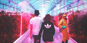 Have You Seen The New Adidas Weed Grow Ad?