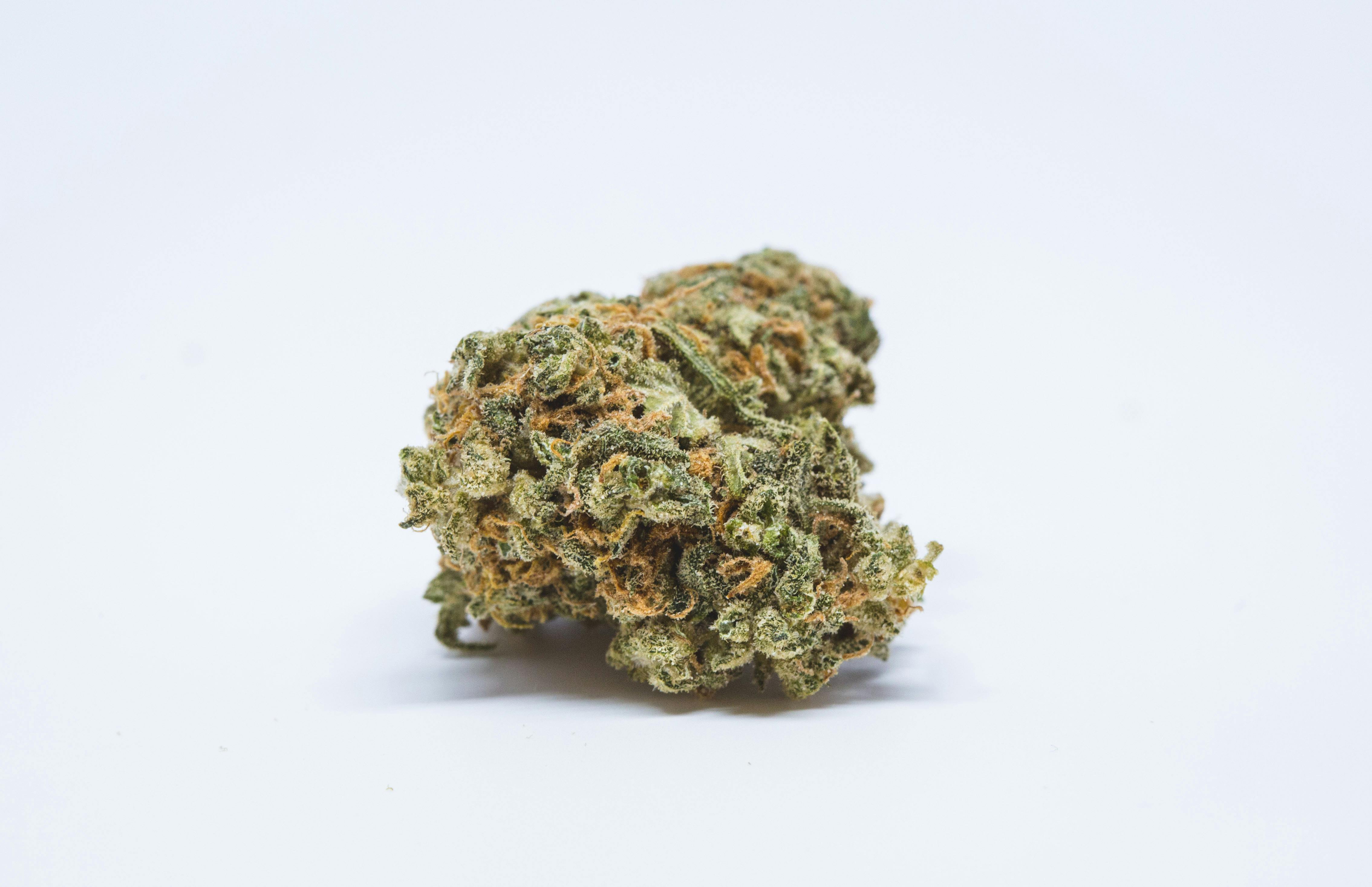 Haze Strain