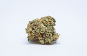 Haze Marijuana Strain